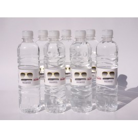 Promocijska voda  z ali brez mehurčkov v plastenki